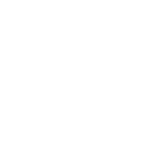 BARS Wealth Logo
